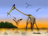 Исследователи развенчали миф о птерозавре: он ходил пешком и питался мелкими динозаврами