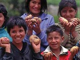 Чили и Перу опять поспорили, кто первый придумал есть картошку