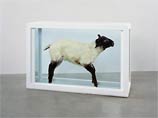 Законсервированная овца в одной из галерей Лос-Анджелеса взята под усиленный контроль
