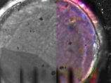 Американский робот "Феникс" передал на Землю сделанные через микроскоп фотографии марсианского грунта