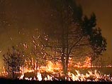 Лесные пожары в Юрмале разгораются накануне проведения праздничных мероприятий по случаю Дня России