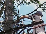 Из-за урагана в Тверской области и Новгородской областях отключилось электричество Из-за урагана в Тверской области и Новгородской областях отключилось электричество