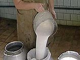 ФАС начала проверку "молочных рек" - производители ответят за низкие цены на сырое молоко ФАС начала проверку "молочных рек" - производители ответят за низкие цены на сырое молоко