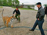 За суровой громадой каменного дома и благоуханным розарием находится частный зоопарк Кадырова За суровой громадой каменного дома и благоуханным розарием находится частный зоопарк Кадырова