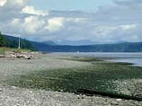 На побережье возле канадского Ванкувера найдена уже шестая человеческая ступня, обутая в кроссовок
