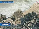 Из разломившегося российского танкера "Волгонефть-139" в море вылилось около двух тысяч тонн мазута, что привело к экологической катастрофе Из разломившегося российского танкера "Волгонефть-139" в море вылилось около двух тысяч тонн мазута, что привело к экологической катастрофе