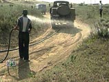 В Чечне новая "террористическая" угроза: на республику напали полчища саранчи В Чечне новая "террористическая" угроза: на республику напали полчища саранчи