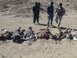 с начала года в Афганистане были убиты более двух тысяч человек, большинство - талибы