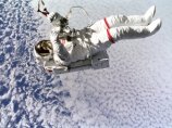 Осталось всего пять дней для подачи заявления в отряд астронавтов NASA