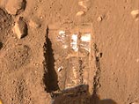 Новости с "Феникса": в марсианской почве можно вырастить "отличную спаржу"