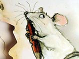 Лучшим иллюстратором детской книги названа художница, рисовавшая крысиной мочой Лучшим иллюстратором детской книги названа художница, рисовавшая крысиной мочой