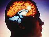 Ученые нашли в мозге человека полосатое тело, отвечающее за тягу к опасностям