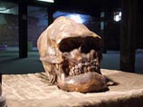 Мексиканский специалист по древним музыкальным инструментам раскрыл тайну  глиняного черепа