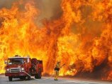 На севере Калифорнии огонь "превратился в разъяренного зверя", пожарные отступают