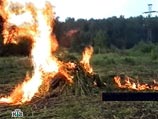 В Еврейской автономной области милиционеры косят коноплю мачете В Еврейской автономной области милиционеры косят коноплю мачете