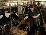 Ограничение поставок из Белоруссии объясняется интересами российского АПК, программа развития которого предусматривает наращивание производства молока в России на 12,1%
