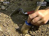 Македонские археологи откопали богиню любви: статуе обнаженной Венеры более двух тысяч лет Македонские археологи откопали богиню любви: статуе обнаженной Венеры более двух тысяч лет