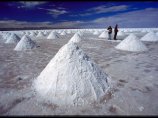 В Боливии перевернулся микроавтобус с иностранными туристами: погибли четверо В Боливии перевернулся микроавтобус с иностранными туристами: погибли четверо