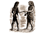 Антропологи догадываются: первые европейцы не занимались сексом с неандертальцами 
