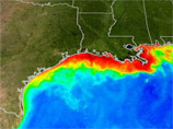 "Мертвой зоной" называют область в Мексиканском заливе, где в летние месяцы уровень кислорода в придонных водах падает ниже уровня, который может поддерживать жизнь