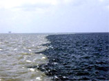 "Мертвая зона"  в Мексиканском заливе этим летом достигнет рекордных размеров