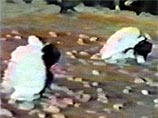 В Иране восемь женщин и мужчина приговорены за секс к забрасыванию камнями В Иране восемь женщин и мужчина приговорены за секс к забрасыванию камнями