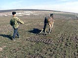 Российская пашня нарасхват у иностранцев Российская пашня нарасхват у иностранцев