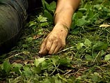 На Сахалине школьники забили до смерти двух бомжей за сбор металлолома На Сахалине школьники забили до смерти двух бомжей за сбор металлолома