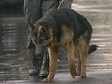 Милиция искала бомбу около метро "Цветной бульвар" в Москве Милиция искала бомбу около метро "Цветной бульвар" в Москве