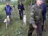  Белоруссии началась охота на таинственное обезьяноподобное существо: зверь укрылся в белорусских лесах