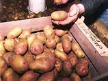 В Приморье запретили ввоз около 19 тонн китайских овощей