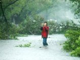 Ураган "Долли" нанес штату Техас урон в 750 млн долларов