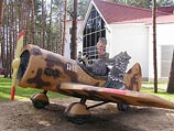 Главком ВВС РФ частично отменил запрет на полеты авиации РОСТО Главком ВВС РФ частично отменил запрет на полеты авиации РОСТО