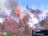 В центральной Калифорнии усиливаются лесные пожары. Сотни человек эвакуируются