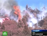 В центральной Калифорнии усиливаются лесные пожары. Сотни человек эвакуируются В центральной Калифорнии усиливаются лесные пожары. Сотни человек эвакуируются