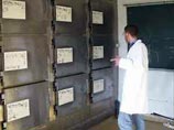 Британская пара 21 год отказывается хоронить собственного сына: тело младенца все это время лежит в платном морге Британская пара 21 год отказывается хоронить собственного сына: тело младенца все это время лежит в платном морге