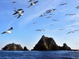 Неделю назад в базе данных Управления островам был присвоен статус "неустановленного суверенитета", что мгновенно вызвало нарекания правительства Южной Кореи, которая контролирует эти необитаемые скалы в Японском море