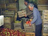 Цхинвали остался без питьевой воды. Винят грузинских садоводов Цхинвали остался без питьевой воды. Винят грузинских садоводов