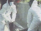 В Доминиканской Республике на пляже обнаружены тела семи человек со связанными руками В Доминиканской Республике на пляже обнаружены тела семи человек со связанными руками