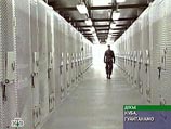 Экс-шофер Усамы бен Ладена признан виновным: он поддерживал терроризм материально Экс-шофер Усамы бен Ладена признан виновным: он поддерживал терроризм материально