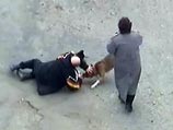 Женщина, ставшая инвалидом после нападения бойцовых собак, пытается получить полмиллиона рублей с их безработной хозяйки
