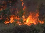 Лесные пожары в окрестностях Воронежа продолжаются уже третьи сутки, выгорело 25 га леса
