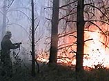 В Воронежской области объявлена высшая степень пожарной опасности