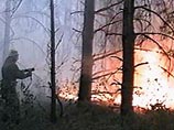 В Воронежской области объявлена высшая степень пожарной опасности В Воронежской области объявлена высшая степень пожарной опасности