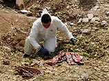 Алжир взрывают второй день подряд:  в среду погибли 11 человек, 31 получил ранения