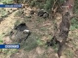 Южноосетинская сторона передала Грузии тела 43 человек, погибших во время боевых действий