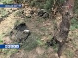 Южноосетинская сторона передала Грузии тела 43 человек, погибших во время боевых действий Южноосетинская сторона передала Грузии тела 43 человек, погибших во время боевых действий