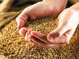 Россия увеличила экспорт зерна в полтора раза