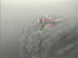 Энтузиастам из Швеции удалось сделать ВИДЕО с местным "лохнесским чудовищем" Энтузиастам из Швеции удалось сделать ВИДЕО с местным "лохнесским чудовищем"