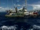 Двое американцев проплыли от Калифорнии до Гавайев на плоту из пластиковых бутылок Двое американцев проплыли от Калифорнии до Гавайев на плоту из пластиковых бутылок